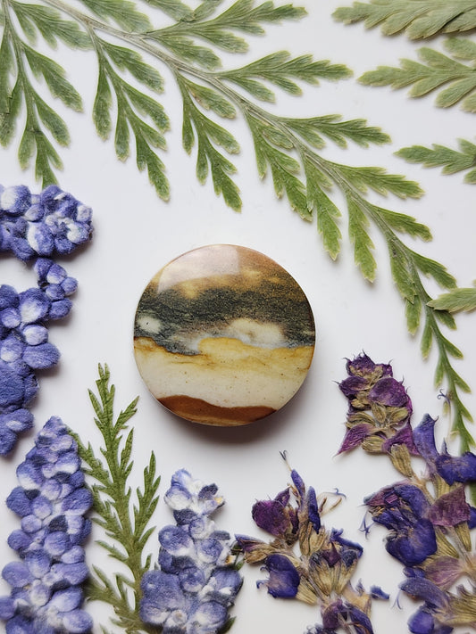 Starry night picture jasper