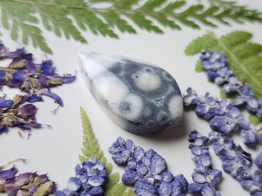 Galaxy Rhyolite
