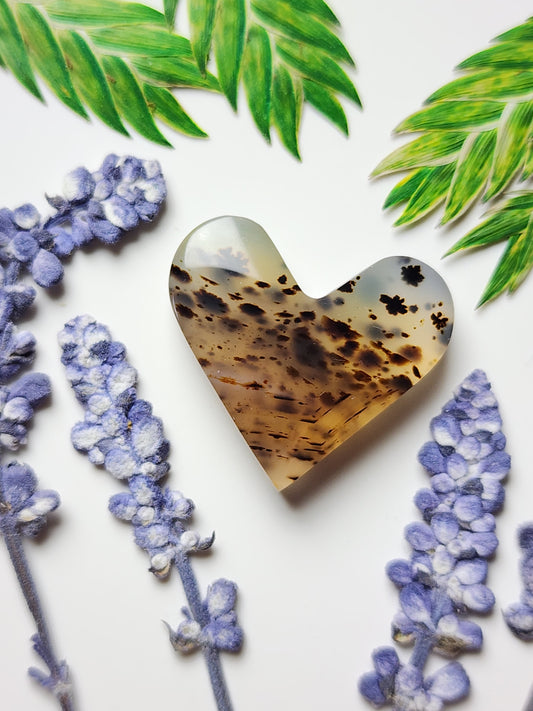 Montana agate heart
