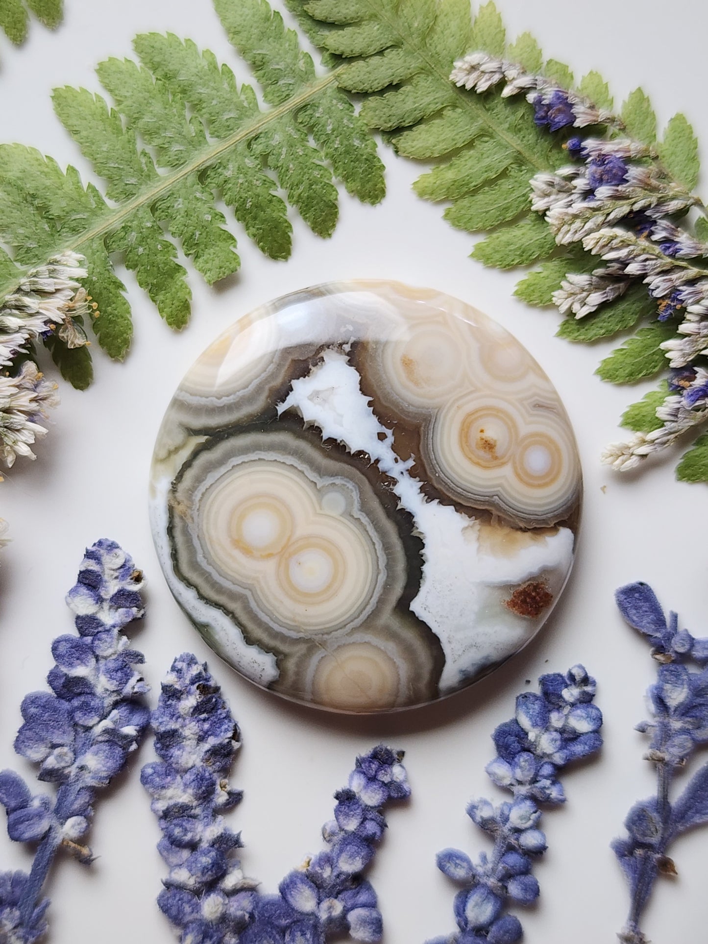 Ocean jasper
