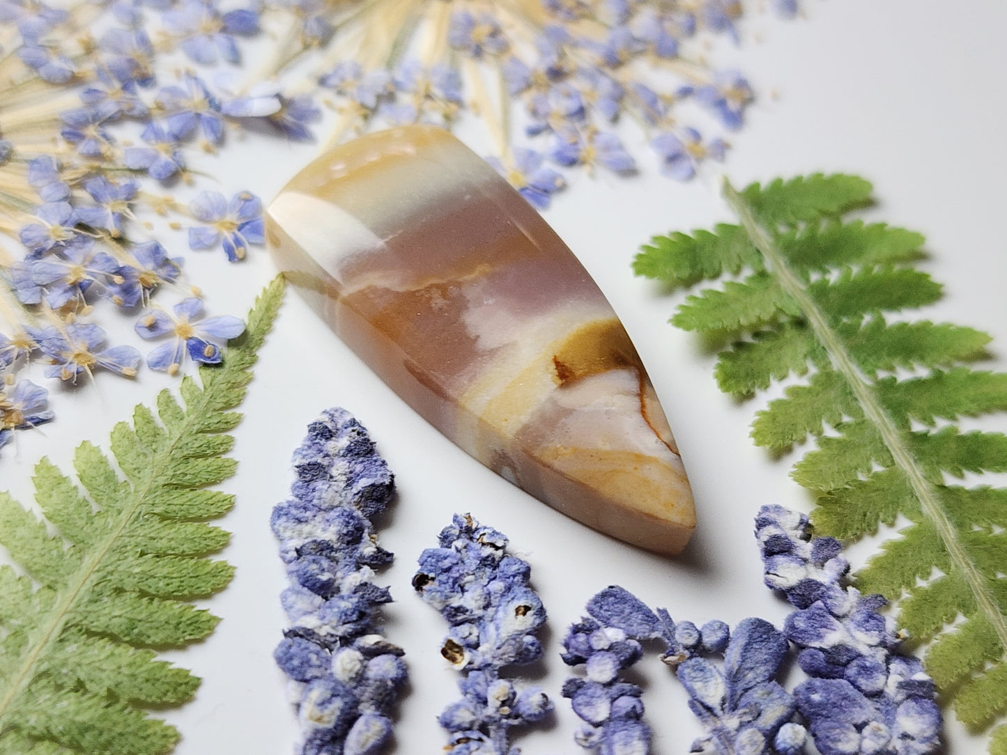 Polychrome jasper