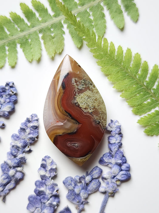 Agua Nueva agate
