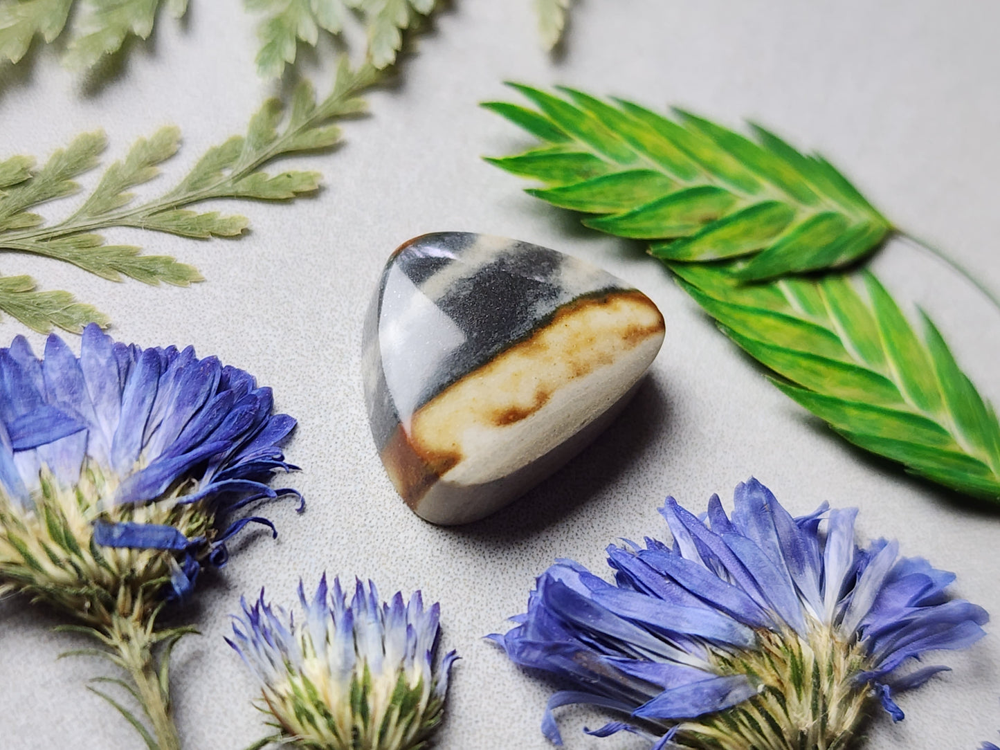 Starry night picture jasper
