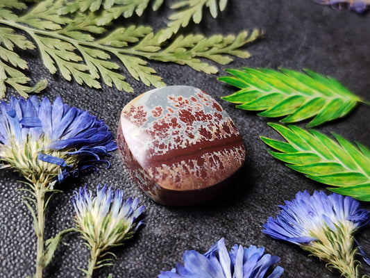 Sonoran Dendritic Rhyolite