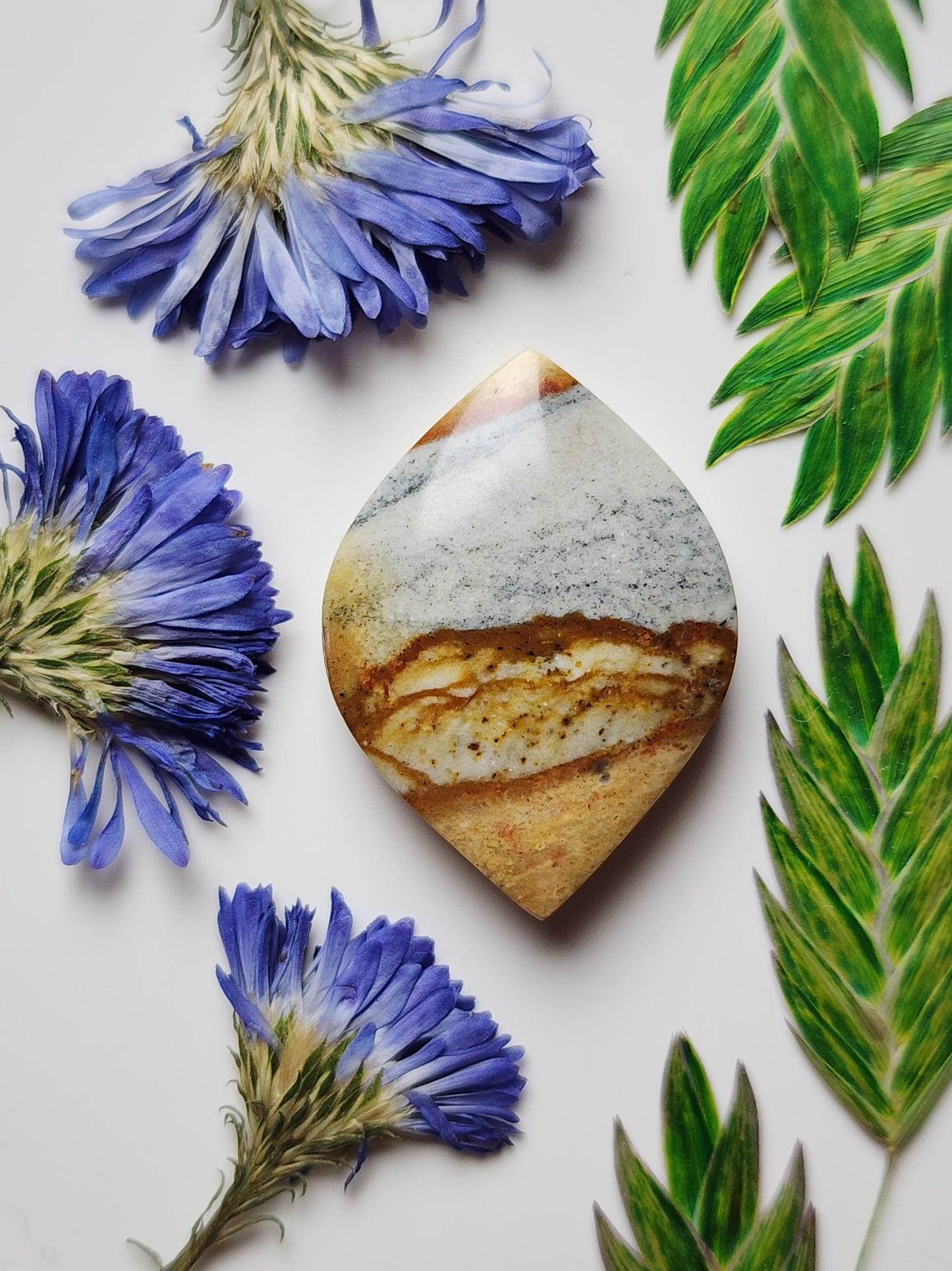 Chicken track jasper