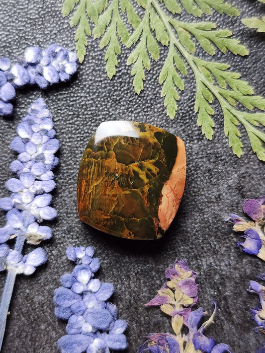 Morrisonite jasper