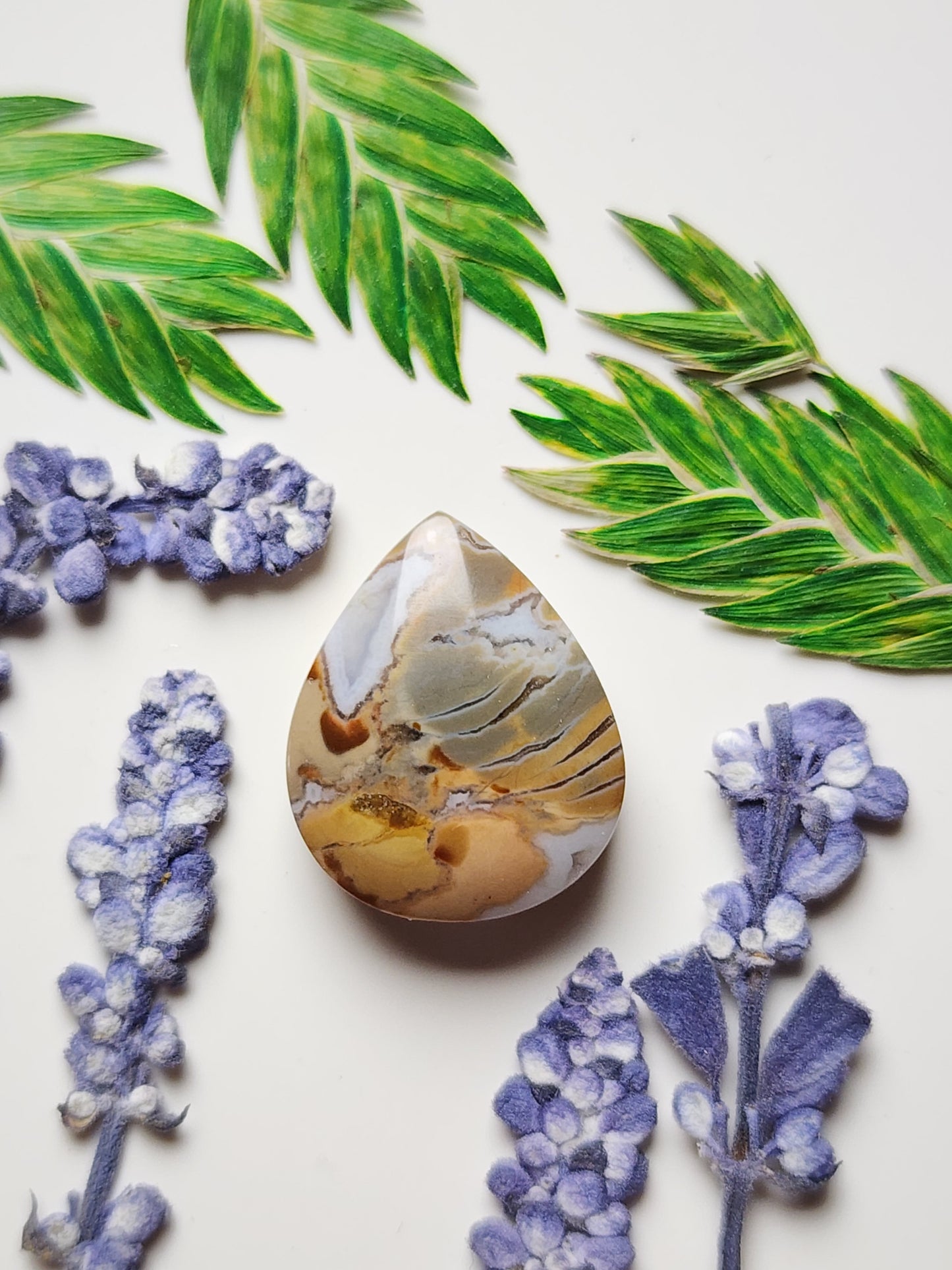 Brecciated Ibis jasper