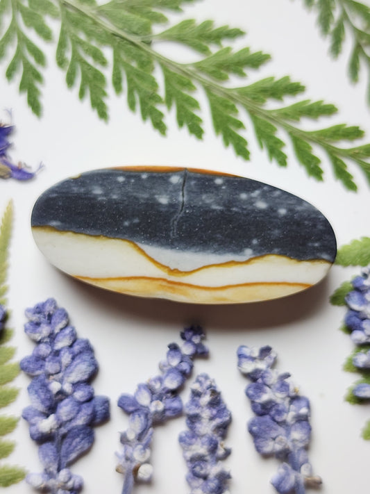 Starry night picture jasper