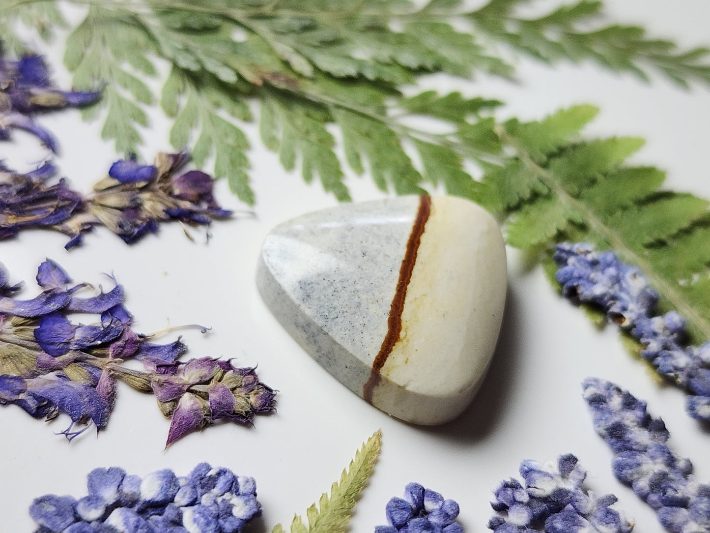 Chicken track picture jasper