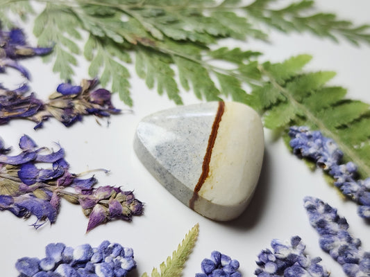 Chicken track picture jasper