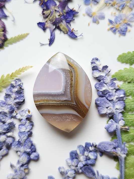 Agua Nueva agate