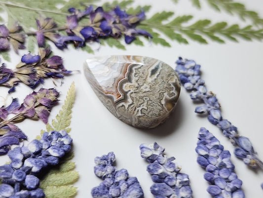 Crazy lace agate