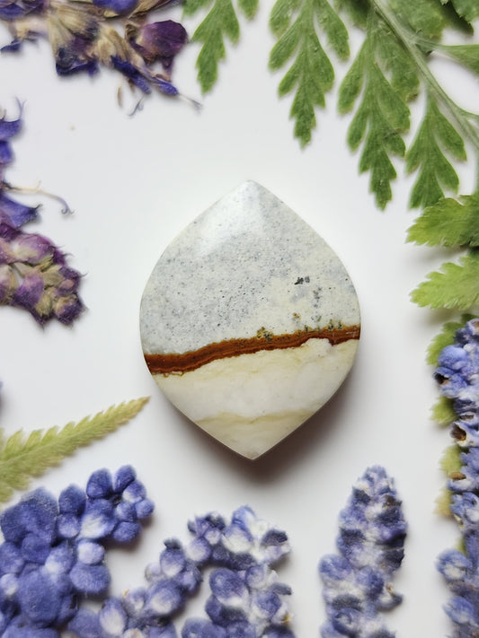 Chicken track picture jasper