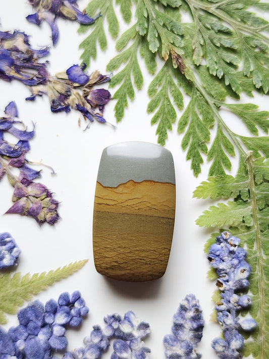 Spring mountain picture jasper