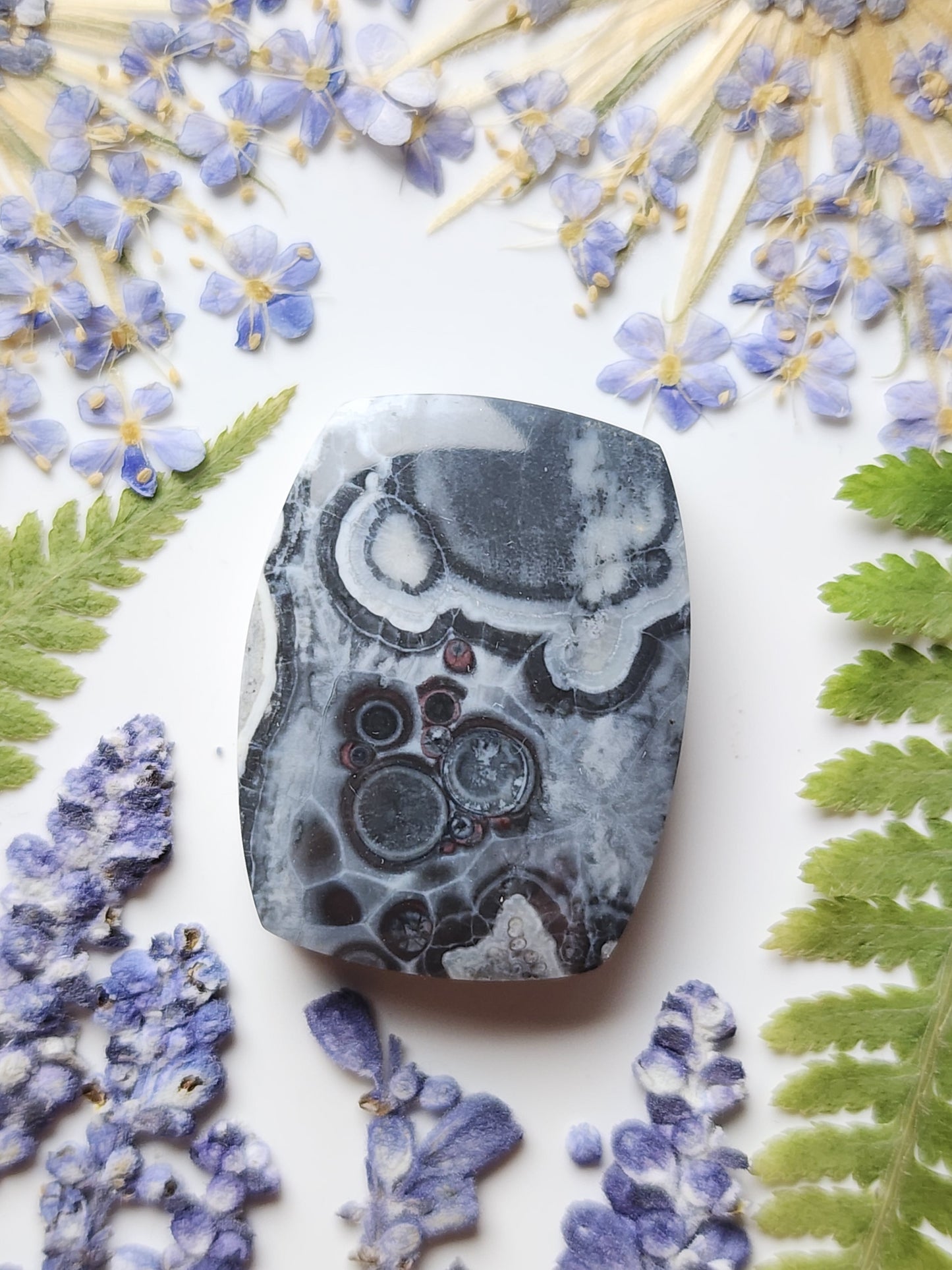 Galaxy Rhyolite