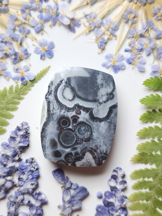 Galaxy Rhyolite