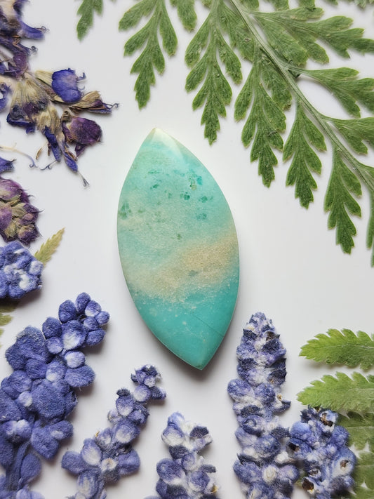 Petrified Blue opalized wood