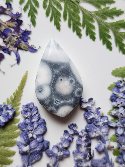 Galaxy Rhyolite