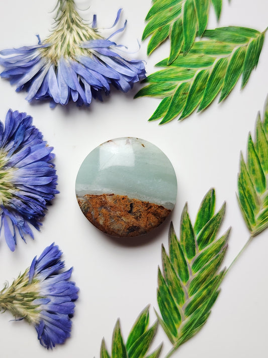 BC Ocean picture stone