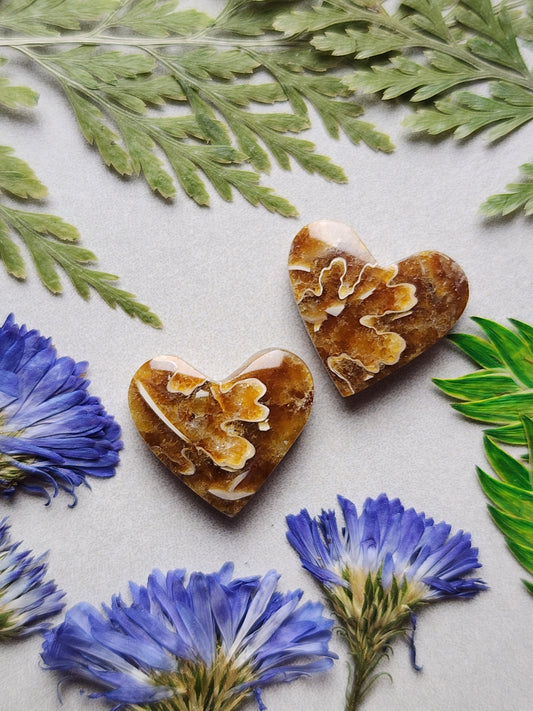 Suture Ammonite heart pair