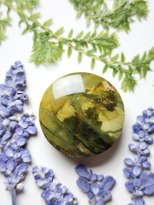 Morrisonite jasper