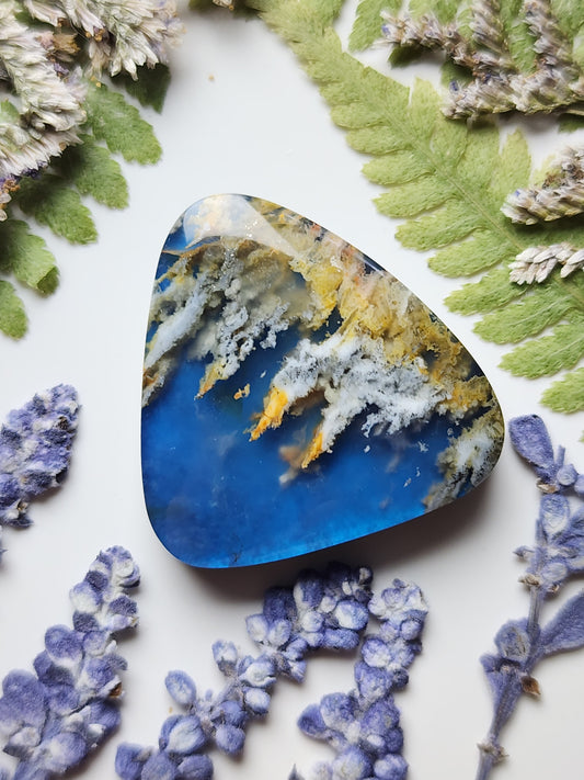 Bella Vista plume agate Doublet
