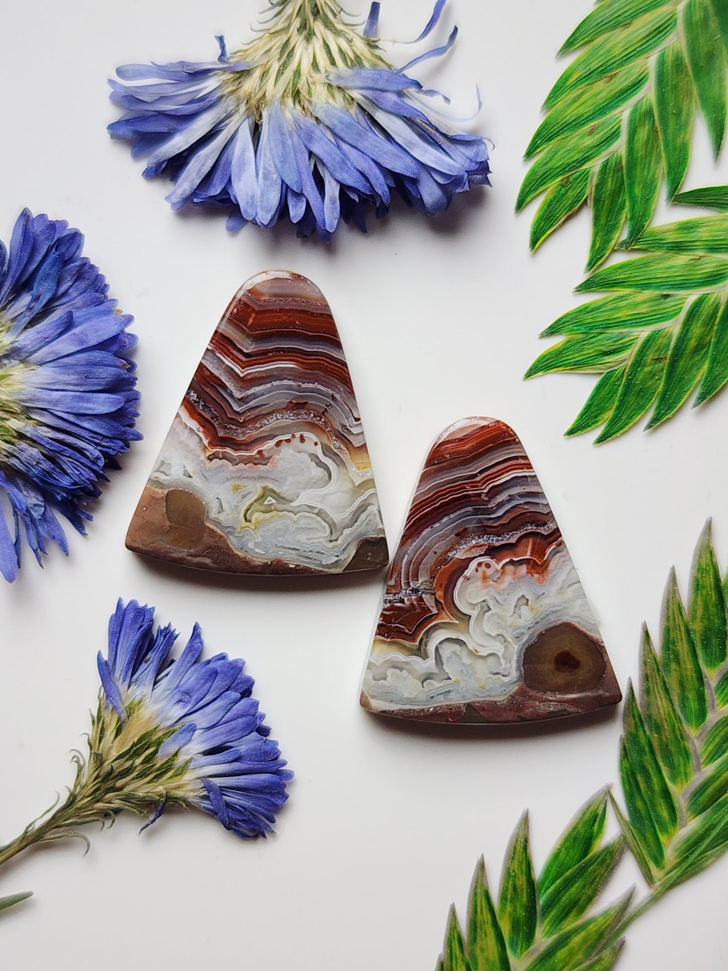 Laguna lace agate pair
