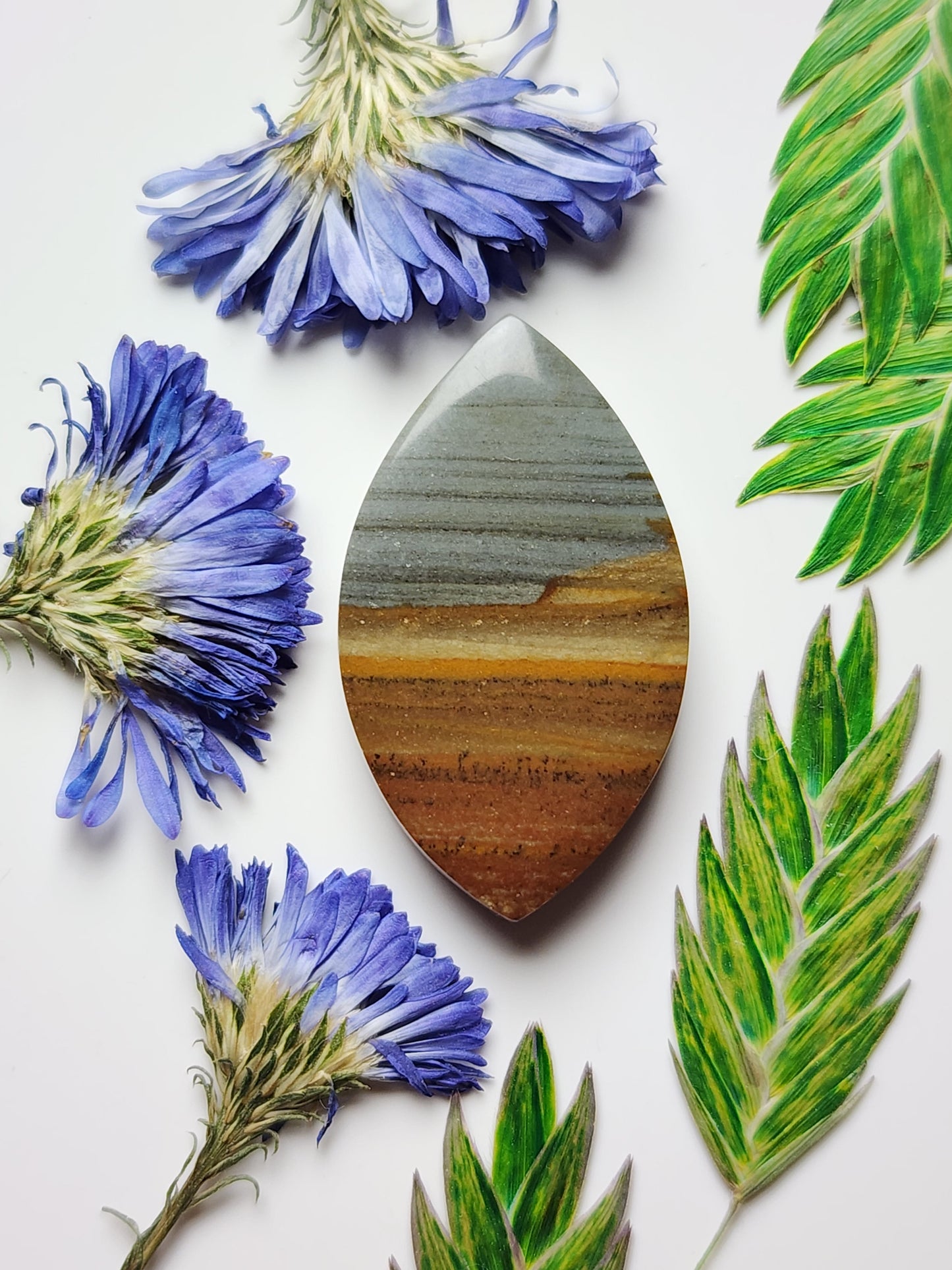 Spring mountain picture jasper