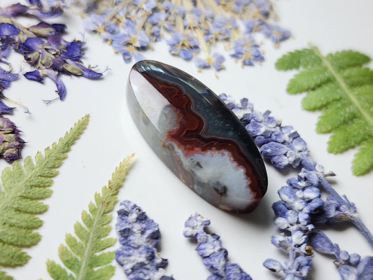 Crazy lace agate