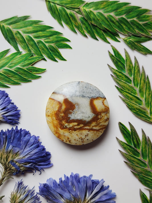 McDermitt picture jasper