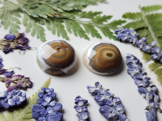 Ocean jasper pair