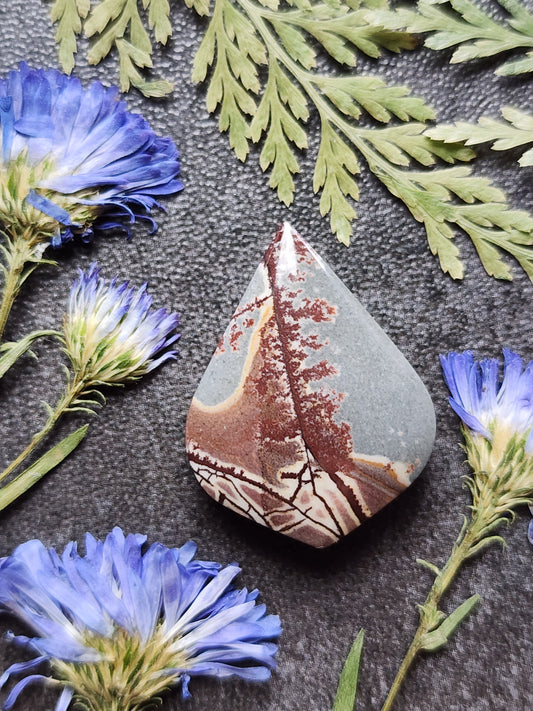 Sonoran Dendritic Rhyolite