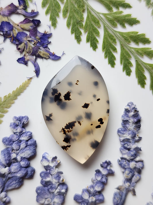 Montana agate