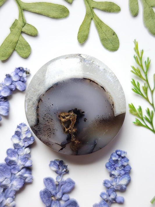 Montana agate