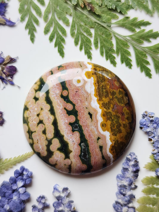Ocean jasper