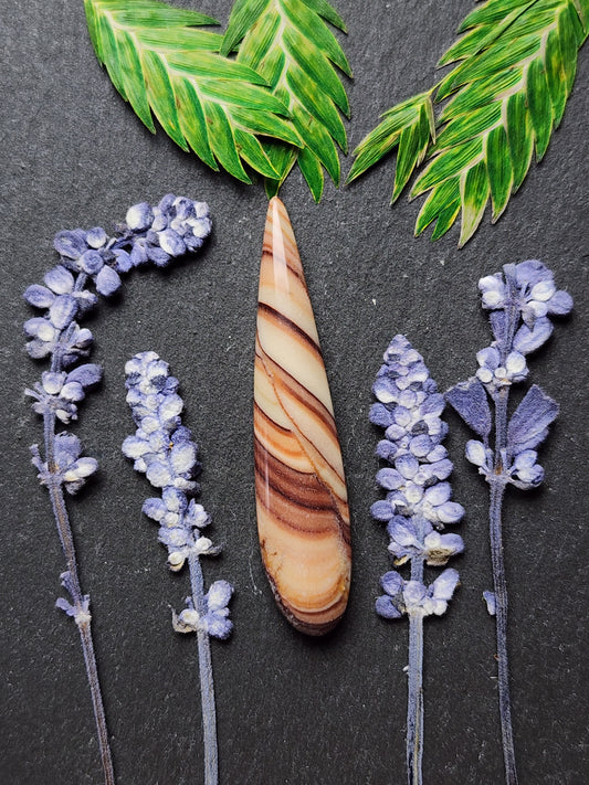 Rolling hill Dolomite