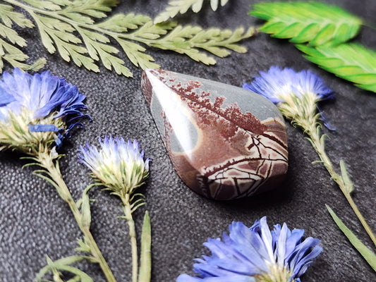 Sonoran Dendritic Rhyolite