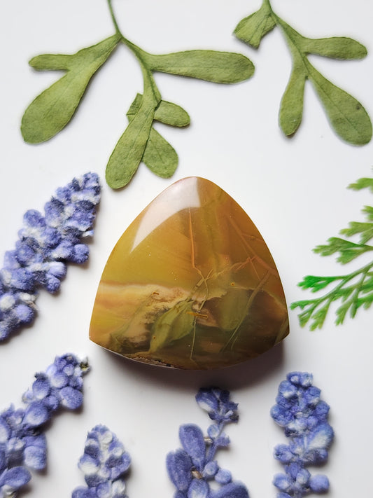 Morrisonite jasper