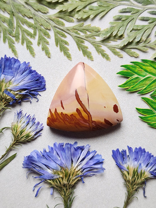Red Falcon jasper