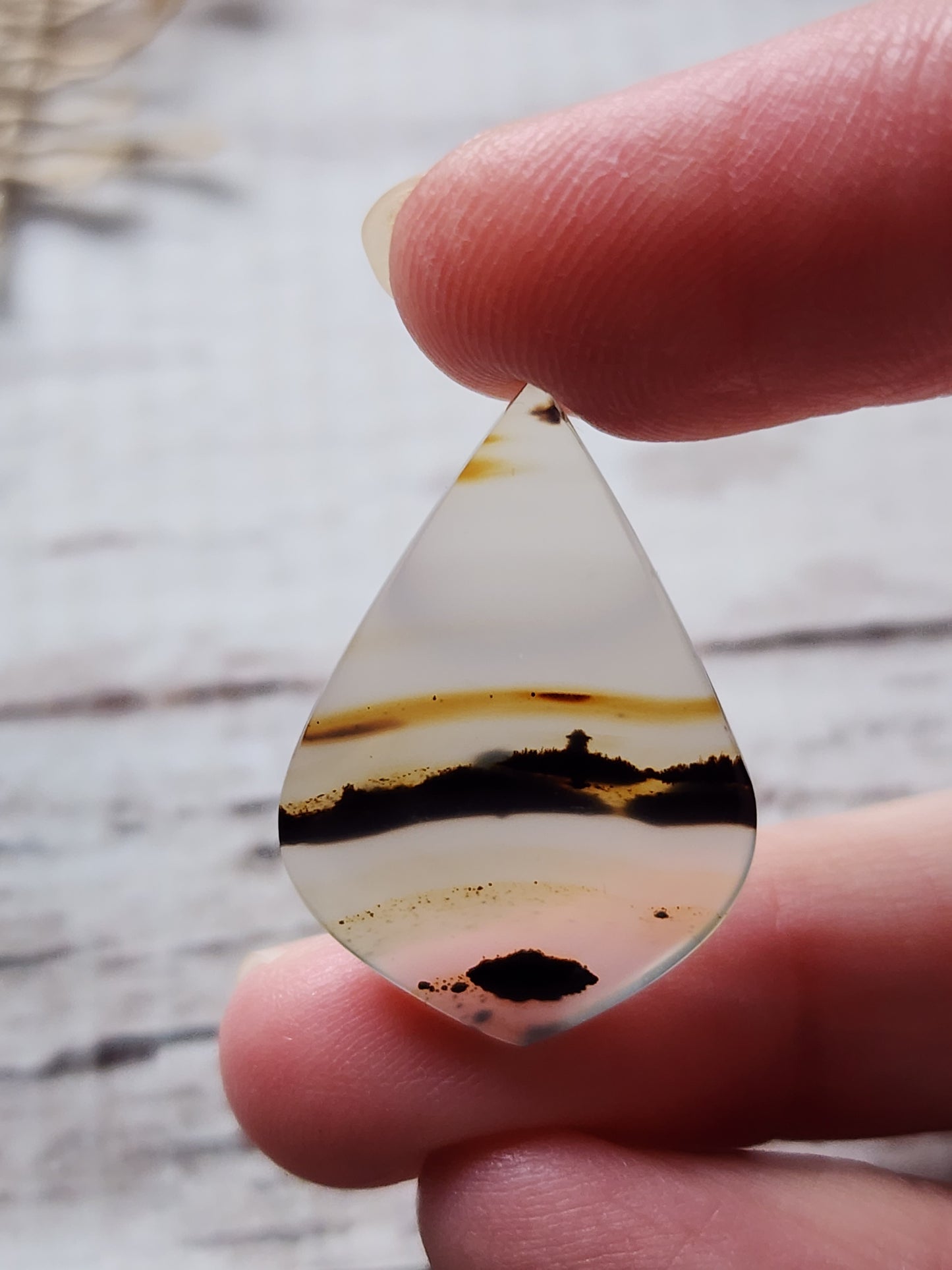 Montana agate