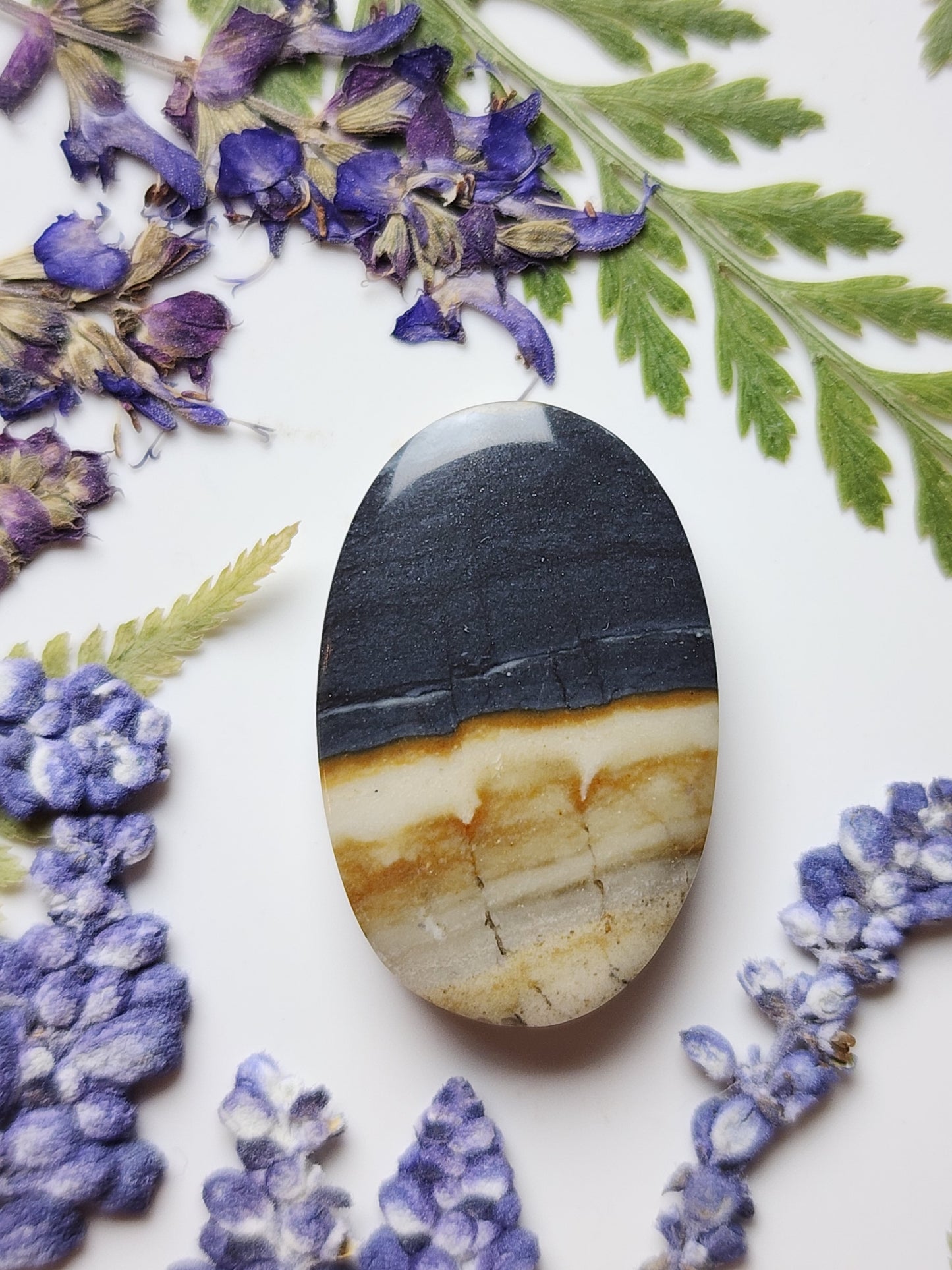 McDermitt picture jasper
