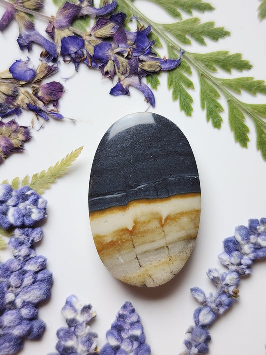 McDermitt picture jasper