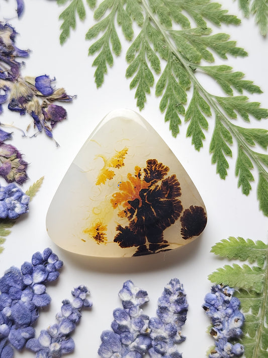 Montana agate