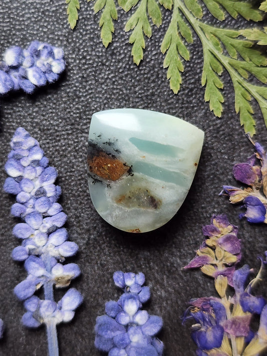 BC Ocean Picture Stone