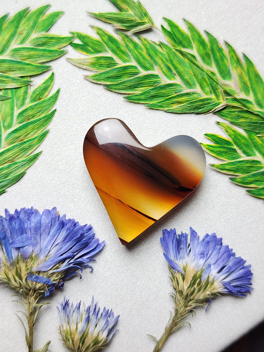 Montana agate heart