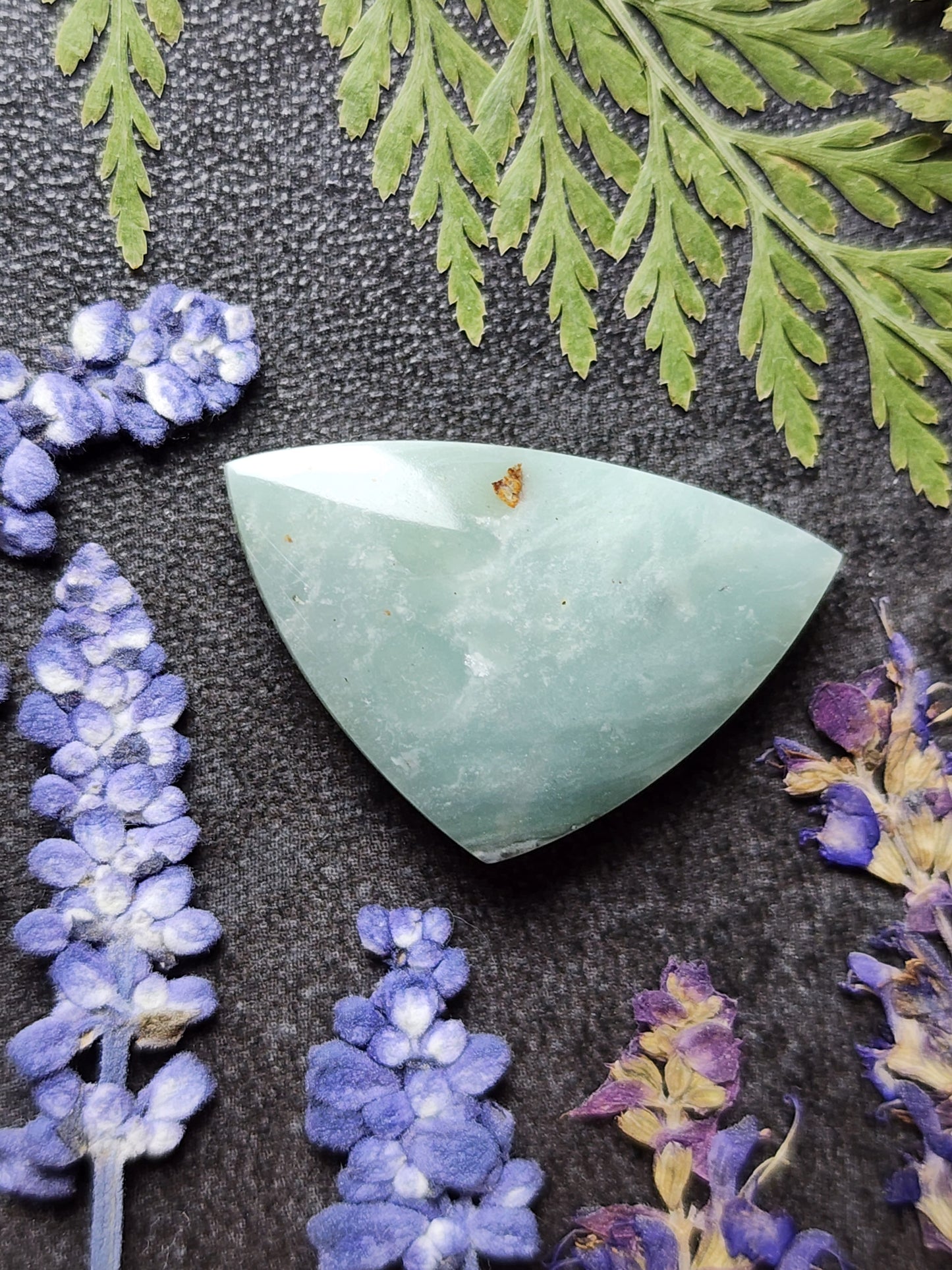 BC Ocean Picture Stone