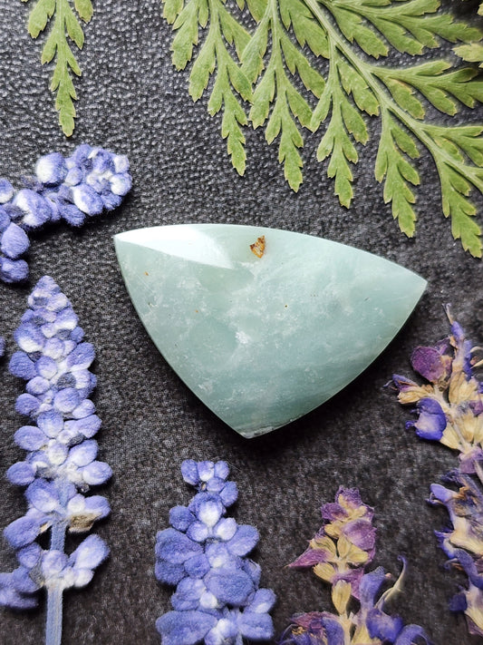BC Ocean Picture Stone