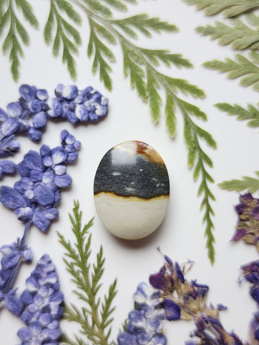 Starry night picture jasper