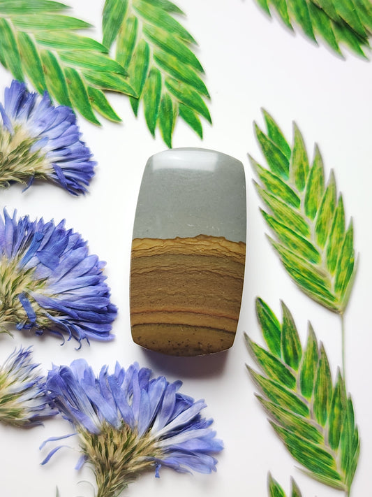 Spring mountain picture jasper