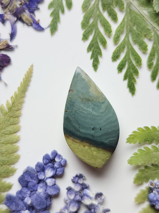 Gary Green jasper